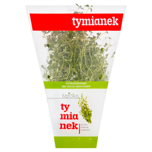 BAZIÓŁKA Tymianek